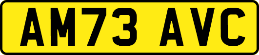 AM73AVC