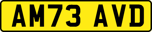AM73AVD