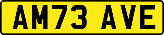 AM73AVE