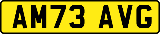 AM73AVG