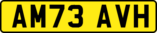 AM73AVH
