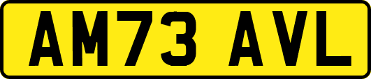 AM73AVL