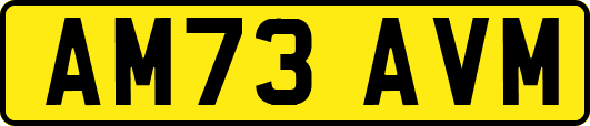 AM73AVM