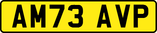 AM73AVP