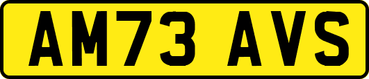 AM73AVS