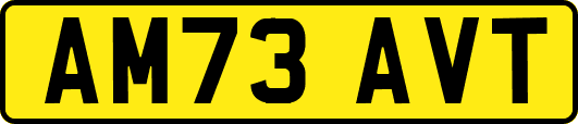 AM73AVT