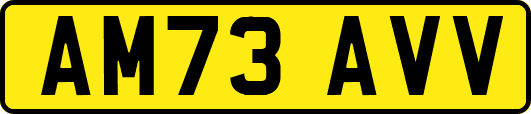 AM73AVV
