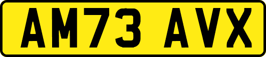 AM73AVX