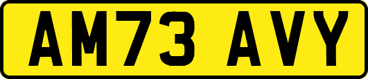 AM73AVY