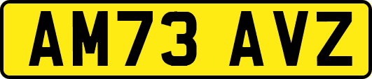 AM73AVZ