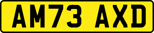 AM73AXD