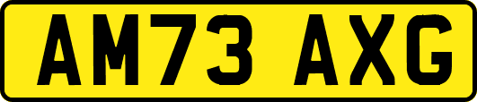 AM73AXG