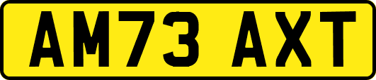 AM73AXT