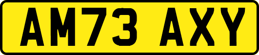 AM73AXY