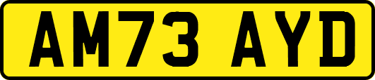 AM73AYD