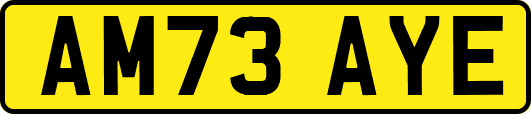 AM73AYE