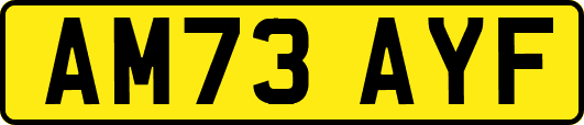 AM73AYF