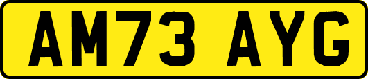 AM73AYG