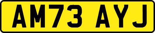 AM73AYJ