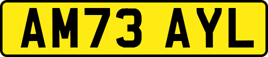 AM73AYL