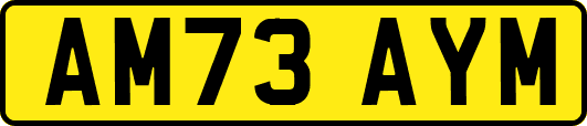 AM73AYM