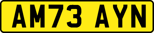 AM73AYN