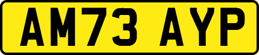 AM73AYP