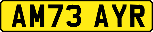 AM73AYR