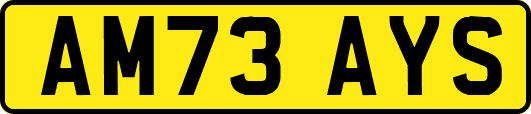 AM73AYS