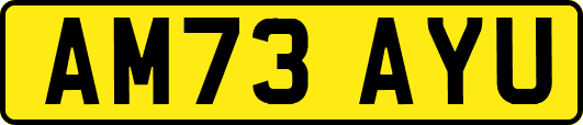 AM73AYU