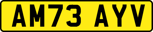 AM73AYV