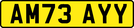 AM73AYY