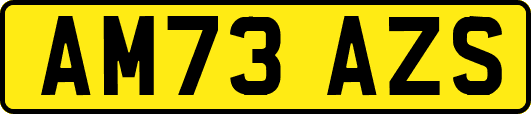 AM73AZS