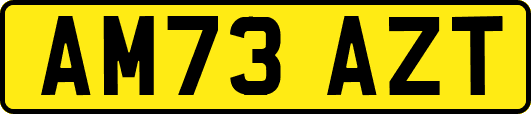 AM73AZT