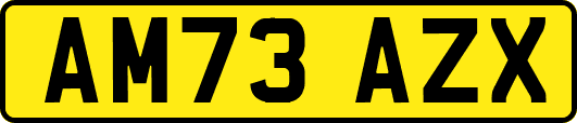 AM73AZX