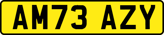 AM73AZY