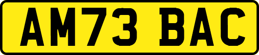 AM73BAC