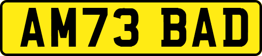 AM73BAD