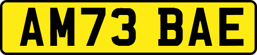 AM73BAE