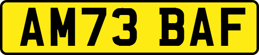 AM73BAF