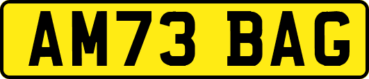 AM73BAG