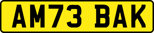 AM73BAK
