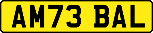 AM73BAL