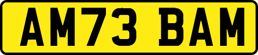 AM73BAM
