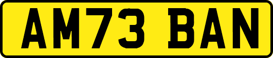 AM73BAN