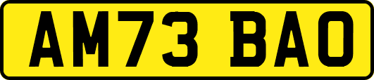 AM73BAO