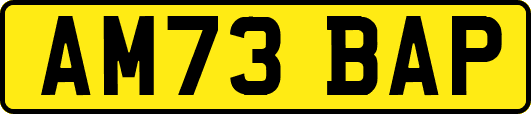 AM73BAP