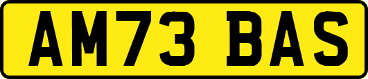 AM73BAS