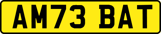 AM73BAT