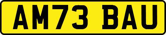 AM73BAU